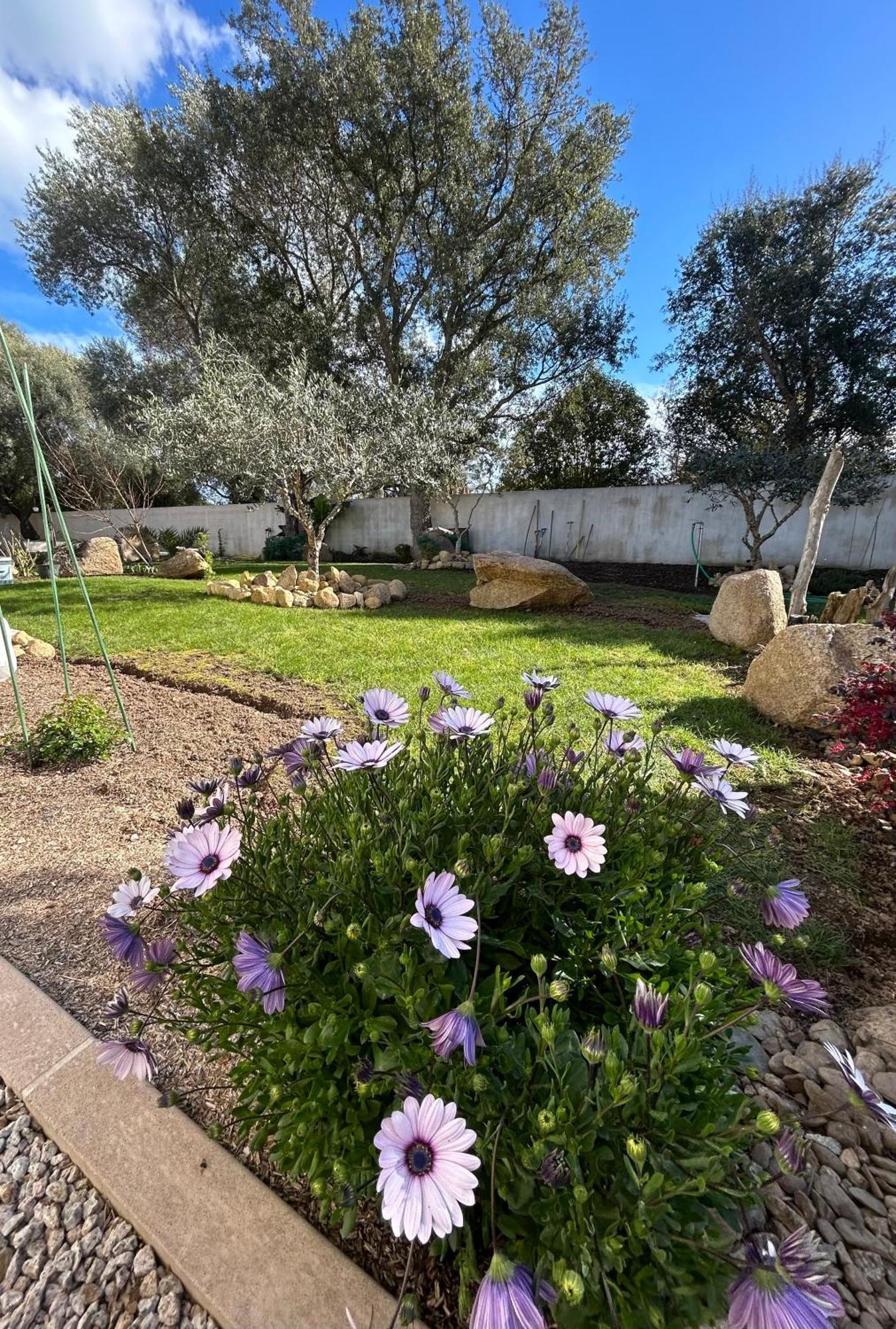 Prunelli-di-Fiumorbo Mini Villa Pascal Paoli Avec Piscine - Proche Mer מראה חיצוני תמונה
