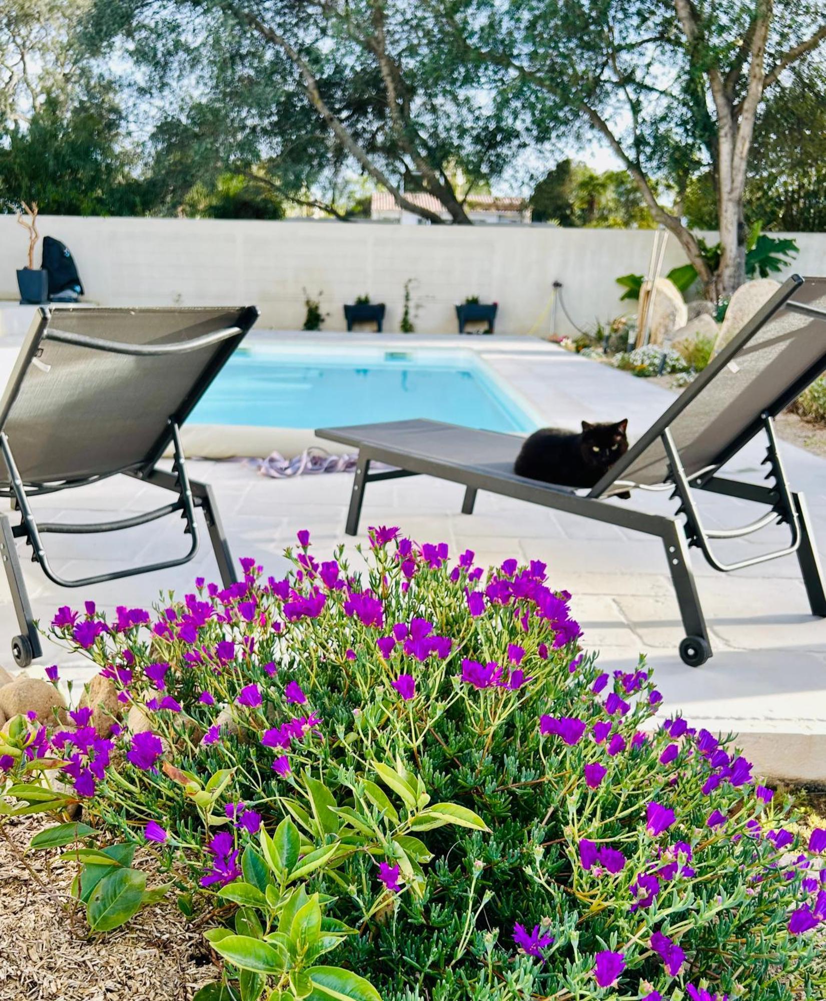 Prunelli-di-Fiumorbo Mini Villa Pascal Paoli Avec Piscine - Proche Mer מראה חיצוני תמונה